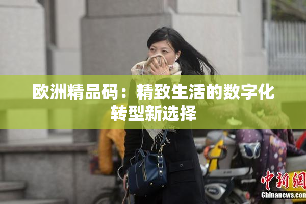 欧洲精品码：精致生活的数字化转型新选择