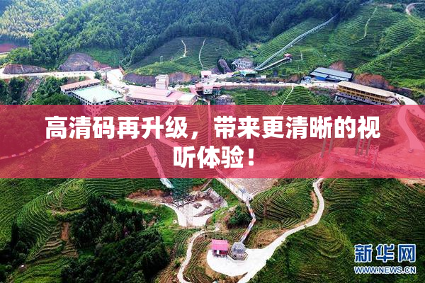 高清码再升级，带来更清晰的视听体验！