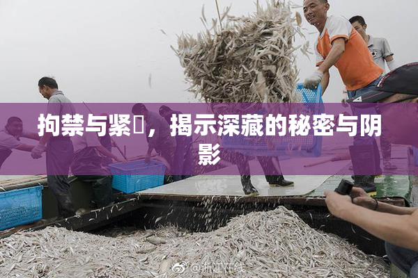 拘禁与紧縛，揭示深藏的秘密与阴影