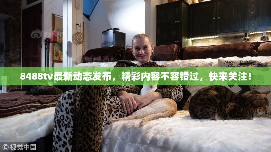 8488tv最新动态发布，精彩内容不容错过，快来关注！