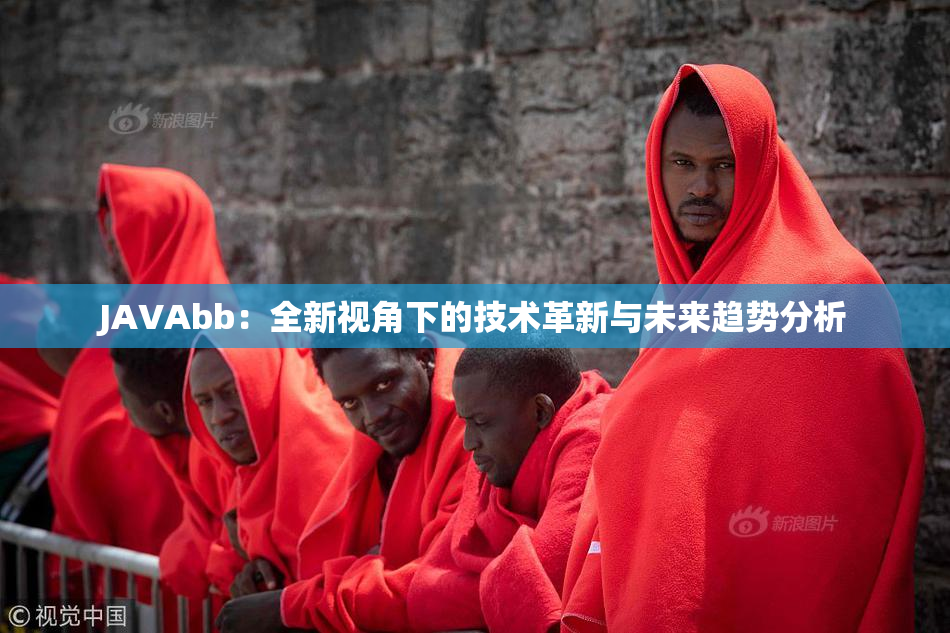 JAVAbb：全新视角下的技术革新与未来趋势分析