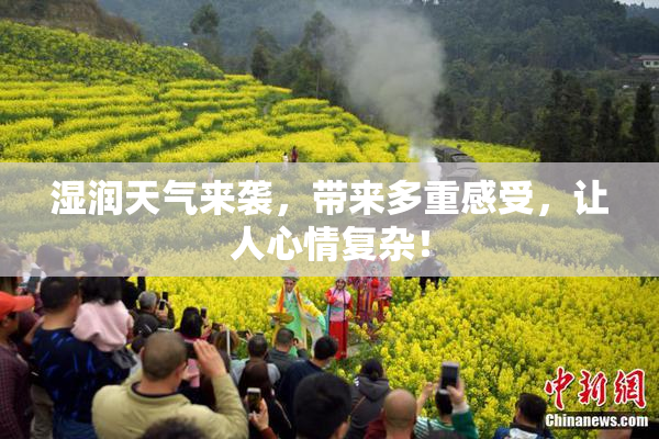 湿润天气来袭，带来多重感受，让人心情复杂！