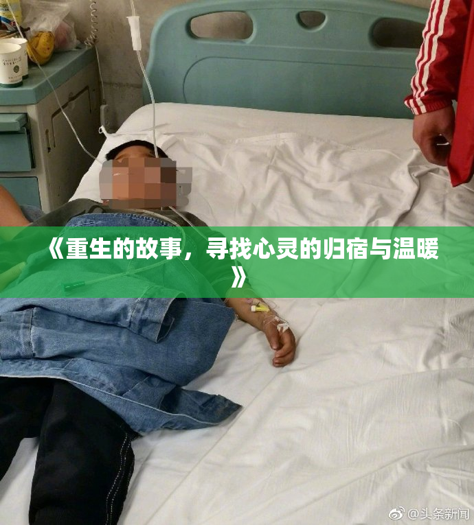 《重生的故事，寻找心灵的归宿与温暖》