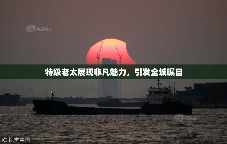 特级老太展现非凡魅力，引发全城瞩目