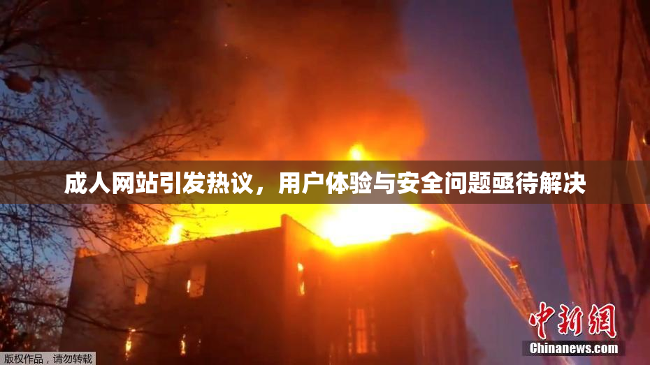 成人网站引发热议，用户体验与安全问题亟待解决