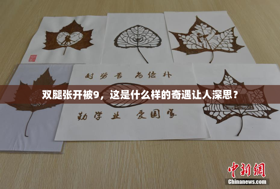 双腿张开被9，这是什么样的奇遇让人深思？