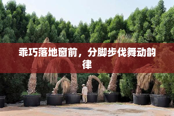 乖巧落地窗前，分脚步伐舞动韵律