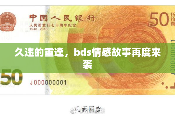 久违的重逢，bds情感故事再度来袭