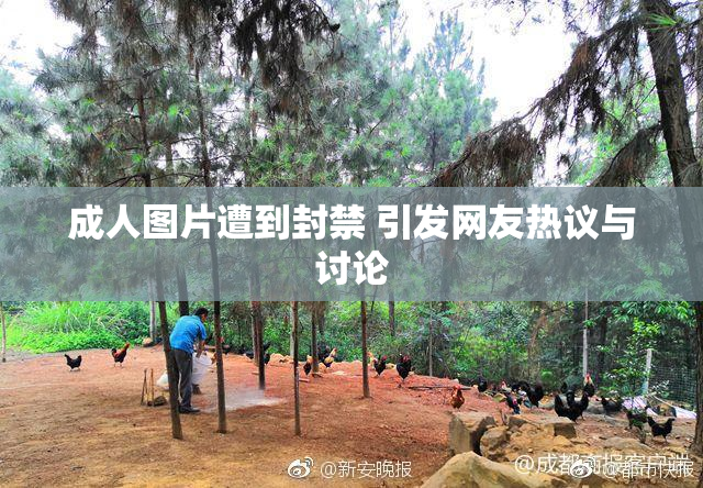 成人图片遭到封禁 引发网友热议与讨论