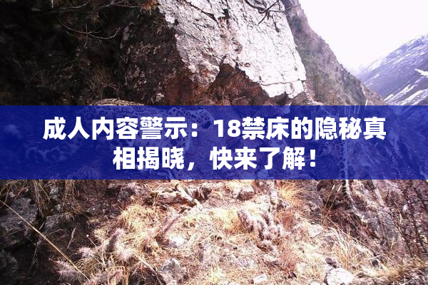 成人内容警示：18禁床的隐秘真相揭晓，快来了解！