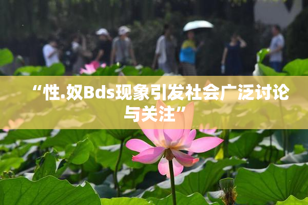 “性.奴Bds现象引发社会广泛讨论与关注”