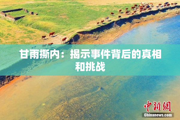 甘雨撕内：揭示事件背后的真相和挑战
