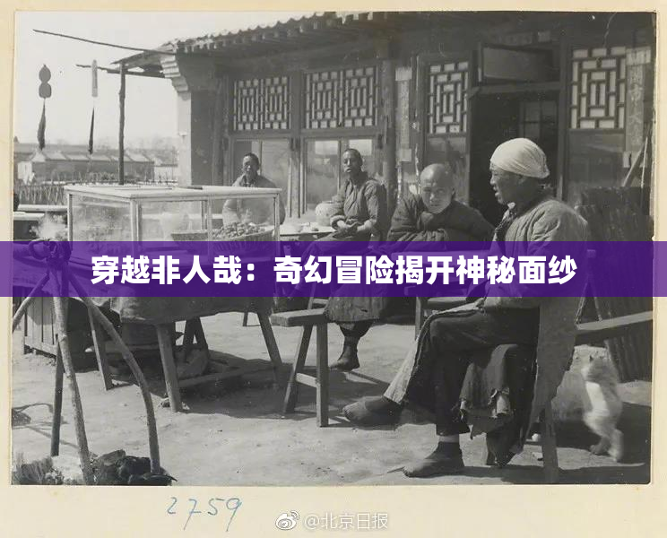 穿越非人哉：奇幻冒险揭开神秘面纱