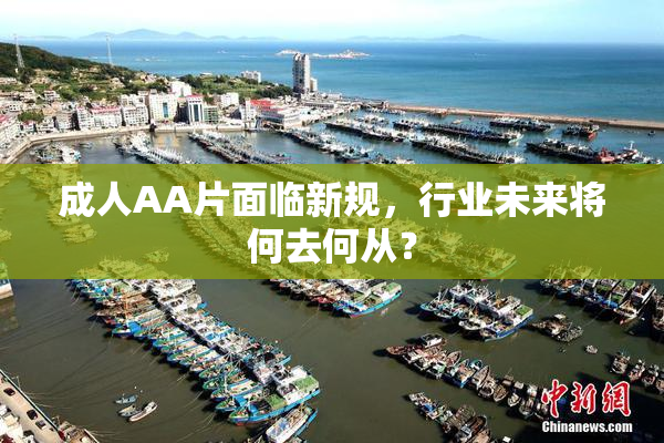 成人AA片面临新规，行业未来将何去何从？