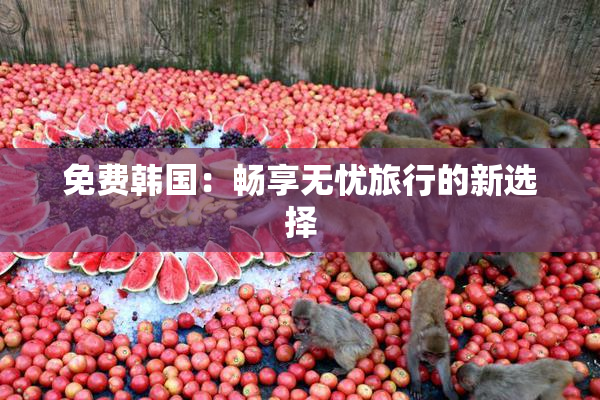 免费韩国：畅享无忧旅行的新选择