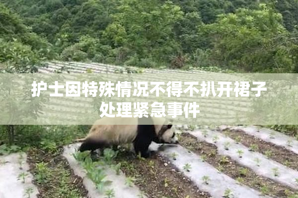 护士因特殊情况不得不扒开裙子处理紧急事件