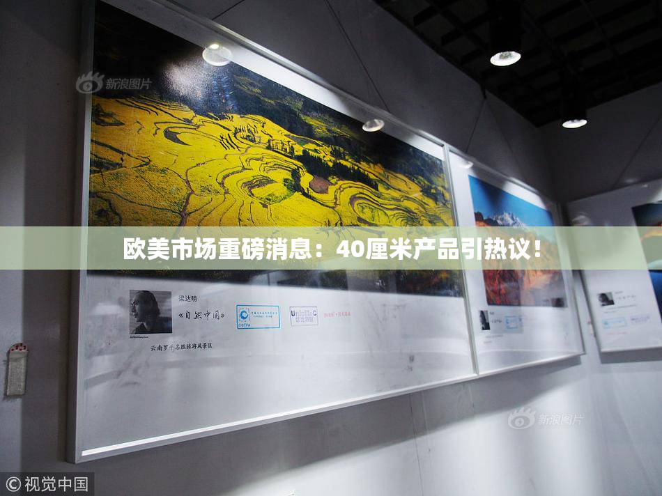 欧美市场重磅消息：40厘米产品引热议！