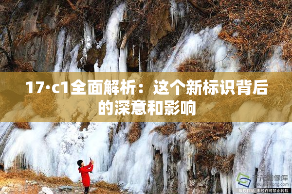 17·c1全面解析：这个新标识背后的深意和影响