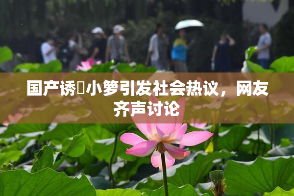 国产诱奷小箩引发社会热议，网友齐声讨论