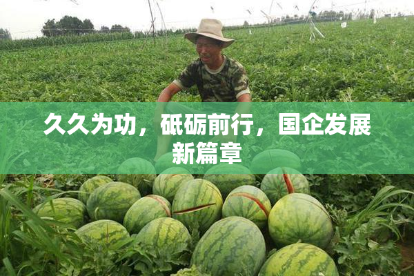 久久为功，砥砺前行，国企发展新篇章