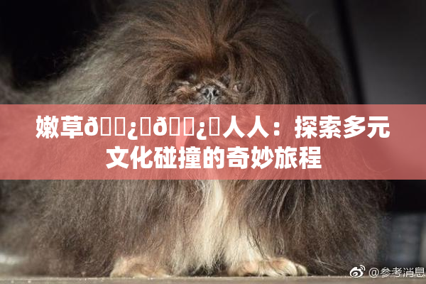 嫩草🌿‌🌿‌人人：探索多元文化碰撞的奇妙旅程