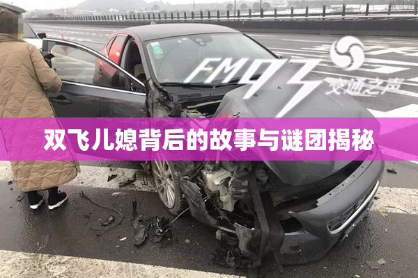 双飞儿媳背后的故事与谜团揭秘