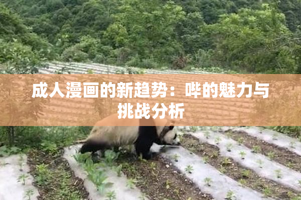成人漫画的新趋势：哔的魅力与挑战分析
