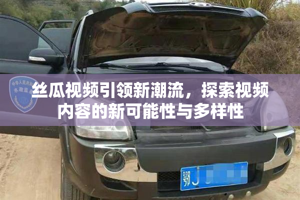 丝瓜视频引领新潮流，探索视频内容的新可能性与多样性