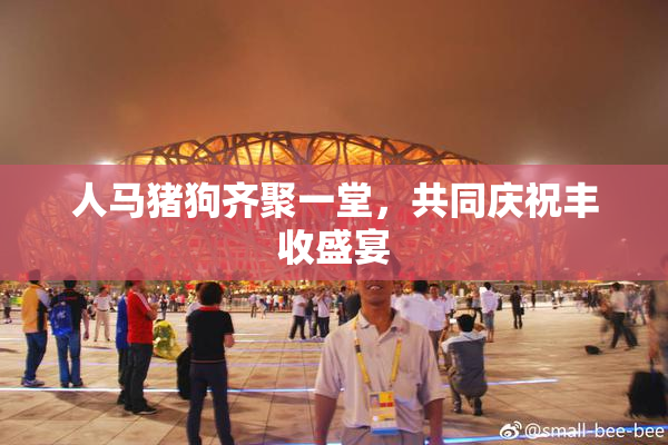 人马猪狗齐聚一堂，共同庆祝丰收盛宴