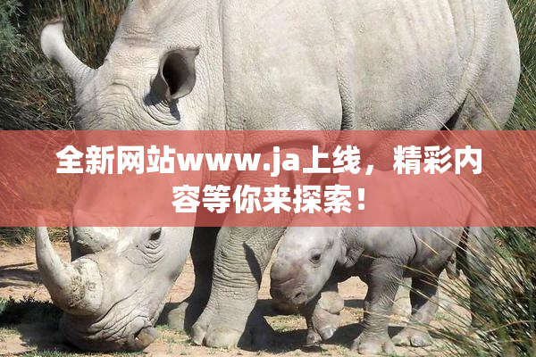 全新网站www.ja上线，精彩内容等你来探索！
