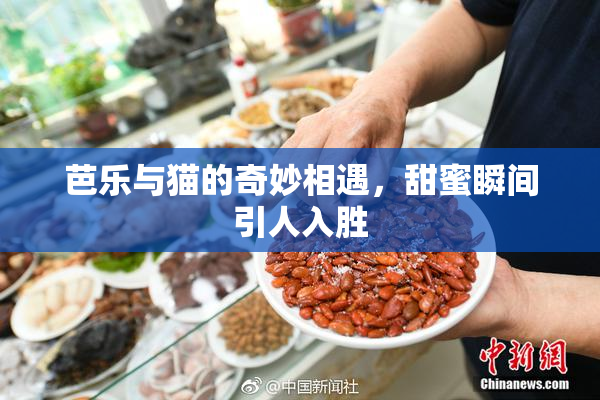 芭乐与猫的奇妙相遇，甜蜜瞬间引人入胜