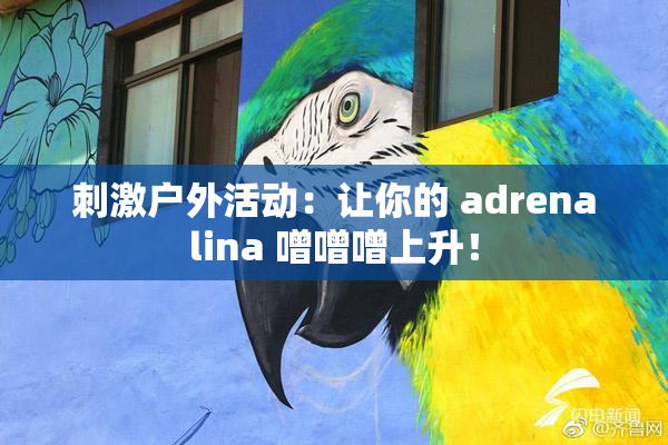 刺激户外活动：让你的 adrenalina 噌噌噌上升！