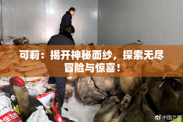可莉：揭开神秘面纱，探索无尽冒险与惊喜！