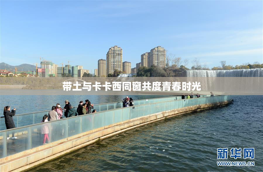 带土与卡卡西同窗共度青春时光