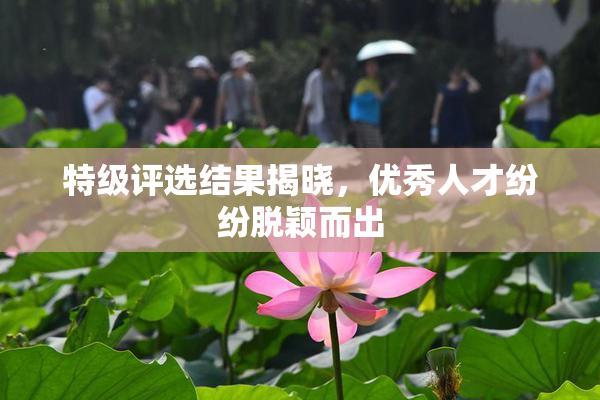 特级评选结果揭晓，优秀人才纷纷脱颖而出