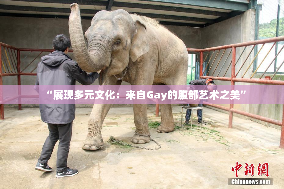 “展现多元文化：来自Gay的腹部艺术之美”