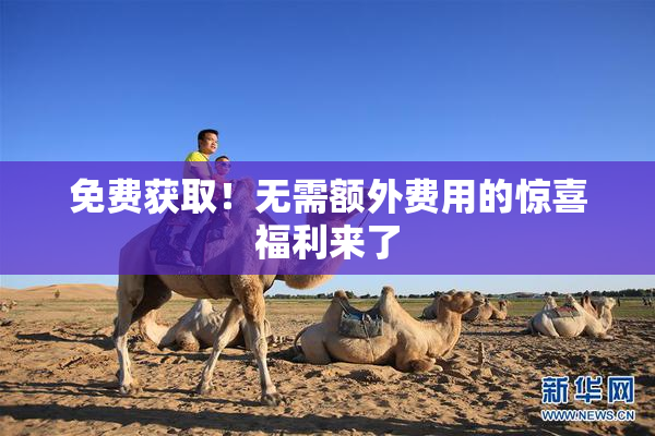 免费获取！无需额外费用的惊喜福利来了