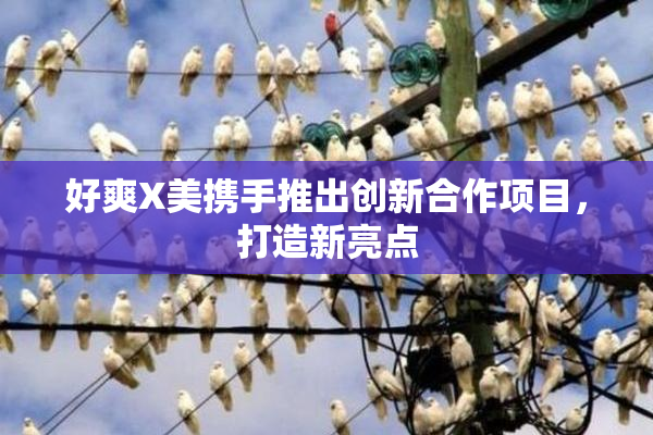好爽X美携手推出创新合作项目，打造新亮点
