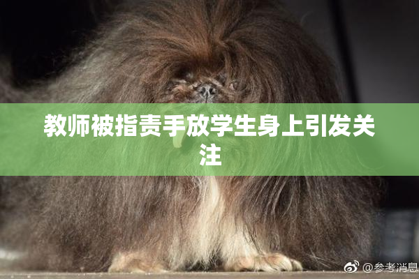 教师被指责手放学生身上引发关注