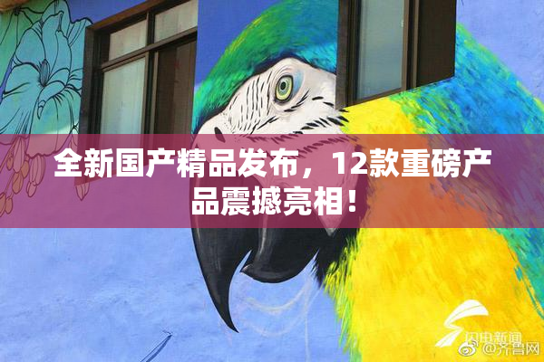 全新国产精品发布，12款重磅产品震撼亮相！