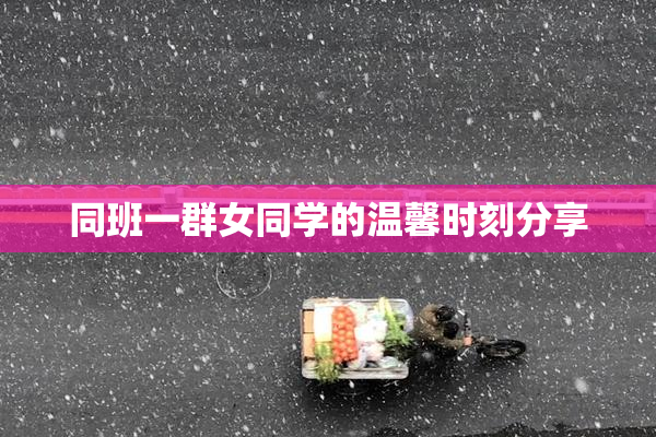 同班一群女同学的温馨时刻分享