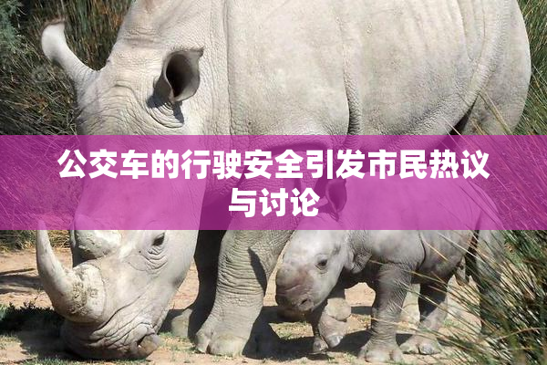 公交车的行驶安全引发市民热议与讨论