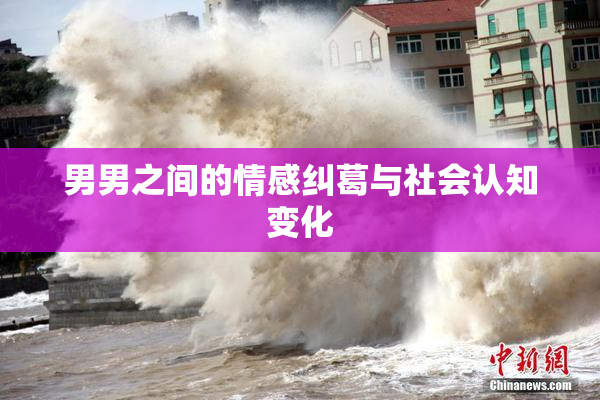 男男之间的情感纠葛与社会认知变化