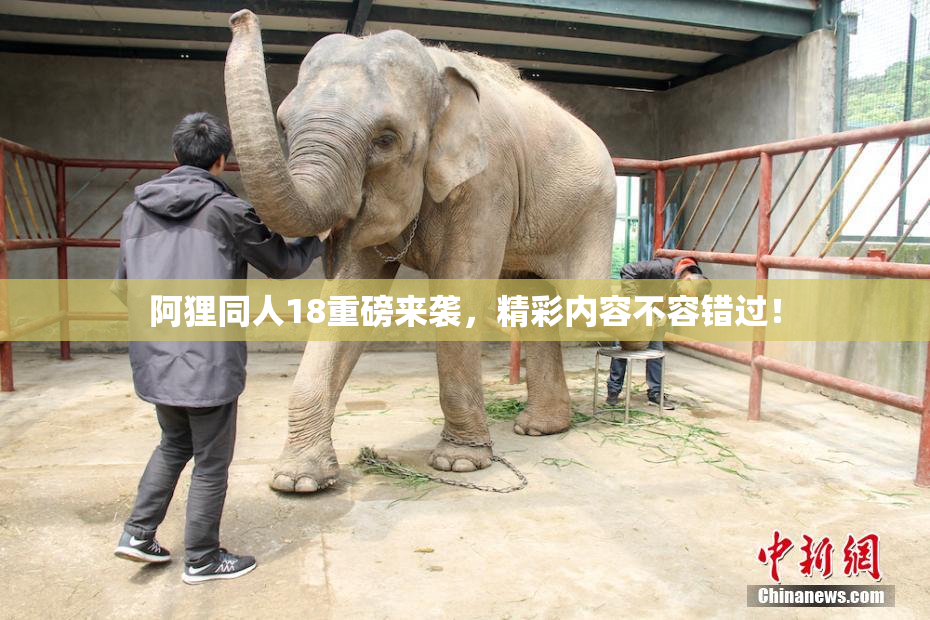 阿狸同人18重磅来袭，精彩内容不容错过！