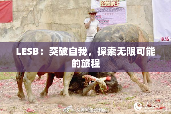LESB：突破自我，探索无限可能的旅程