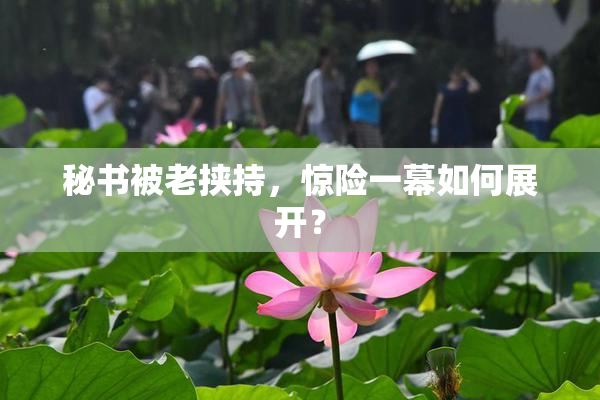 秘书被老挟持，惊险一幕如何展开？