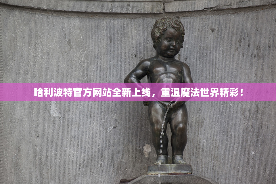 哈利波特官方网站全新上线，重温魔法世界精彩！