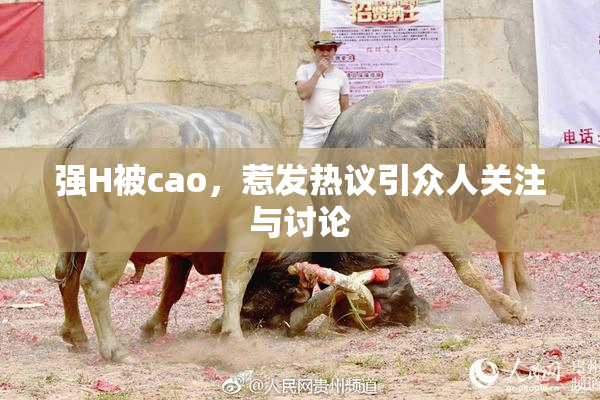 强H被cao，惹发热议引众人关注与讨论