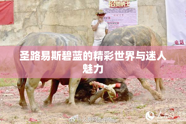 圣路易斯碧蓝的精彩世界与迷人魅力