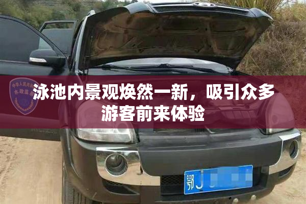 泳池内景观焕然一新，吸引众多游客前来体验